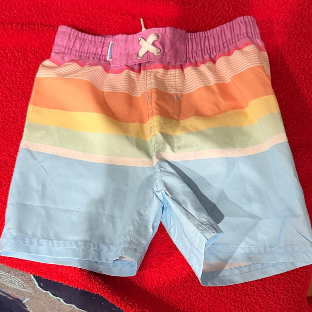 Ruffle Butts Rainbow Stripe Swim Trunks